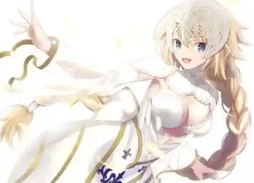 fgo贞德技能加点插图1