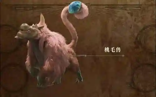 怪物猎人XX桃毛兽攻略插图1