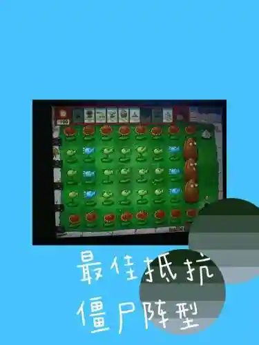 对付僵尸阵容_1插图