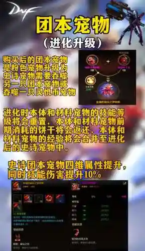 dnf2018年宠物装备插图1 dnf2018年宠物装备插图1