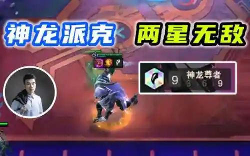 神龙派克阵容插图