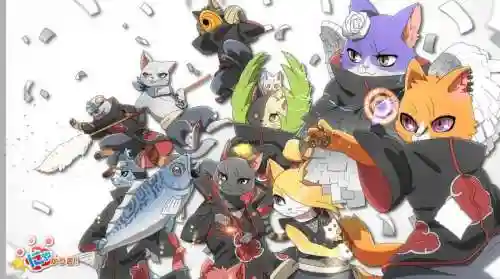 火影猫阵容插图1