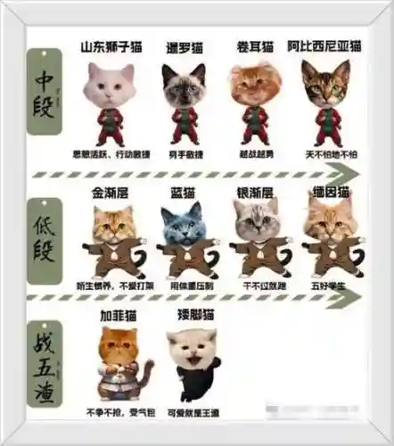 怪物猎人xx所有猫技能插图1