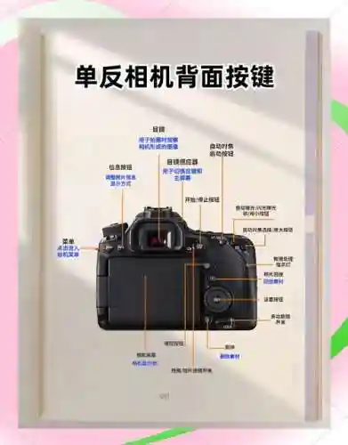 徕卡搭配阵容插图1