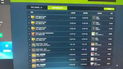 游戏装备库存在steam插图