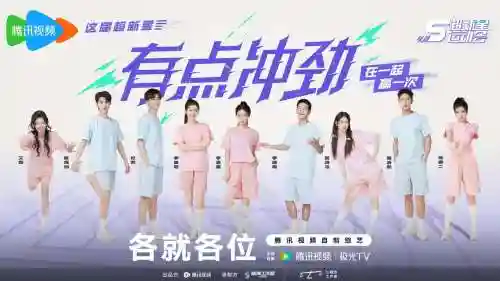 五人阵容冠军阵容搭配插图1