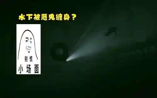 inside攻略第一关水里插图