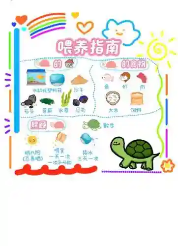 小乌龟逃亡记6攻略插图1