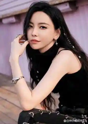 宇文文阵容插图1