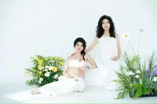 播放孕妇阵容插图