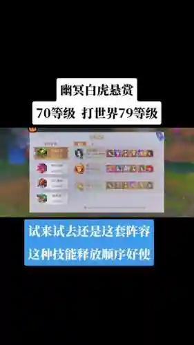 暗3阵容搭配插图1
