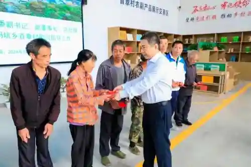 老总下乡阵容插图1