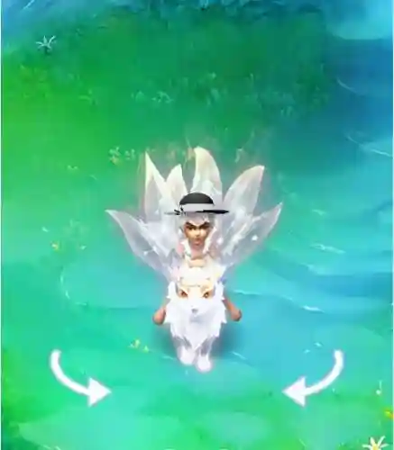 梦幻西游专属祥瑞插图1