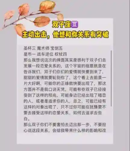 双子座出击装备翻译插图