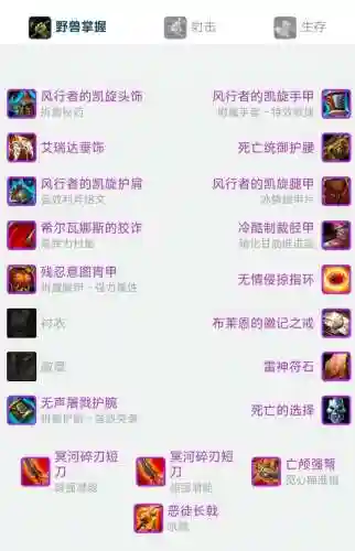魔兽世界猎人武器装备插图