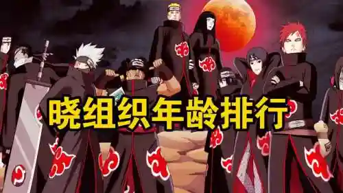 晓阵容套装插图