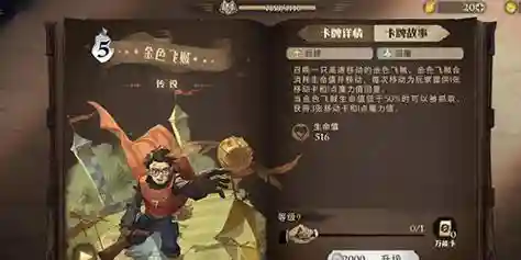 金色飞贼搭配阵容插图