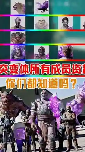 突兀骨阵容搭配插图