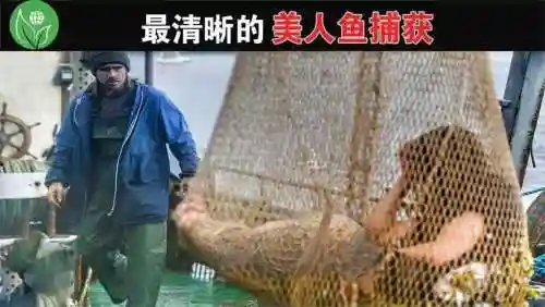 捕美人鱼技巧攻略_1插图1