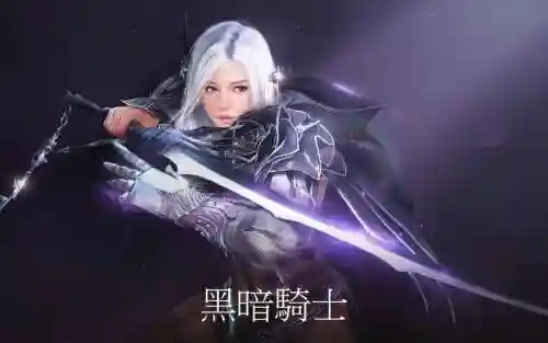 黑色沙漠黑骑回复技能插图1