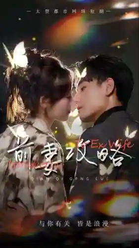 前妻攻略哪里有的看插图