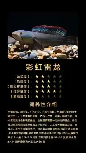 我的恐龙雷龙技能插图1