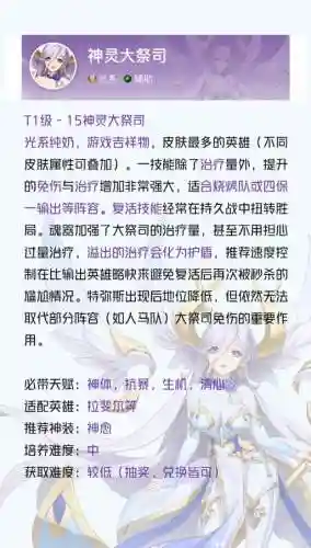 祭司搭配阵容插图
