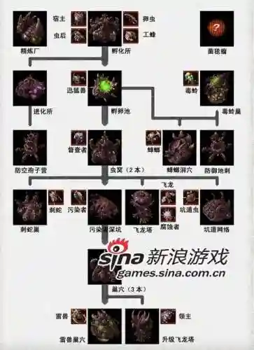 星际二虫族科技攻略插图