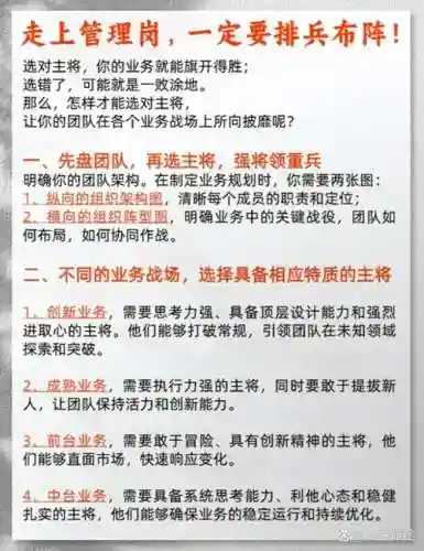 经理阵容搭配思路插图