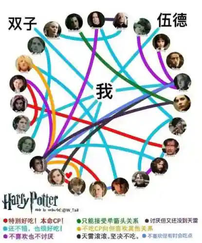 罗赫阵容插图