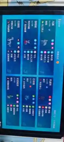 pokemon双打阵容插图