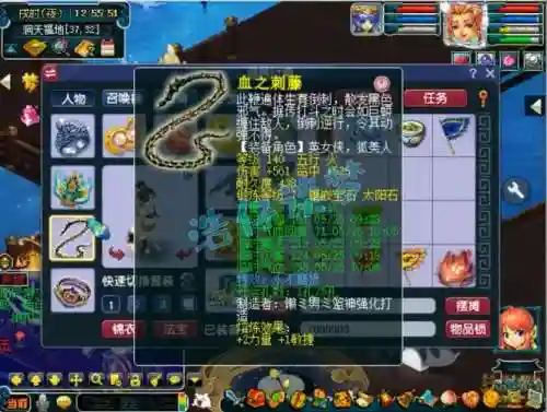 梦幻西游2敏盘丝网子插图1