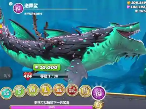 饥饿鲨装备什么幼鲨好_1插图