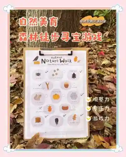 森林寻宝游戏攻略插图