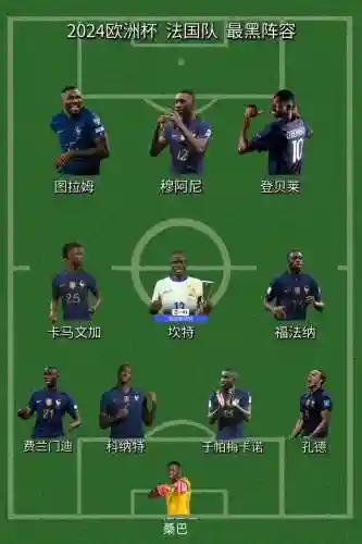 法国阵容数据插图1