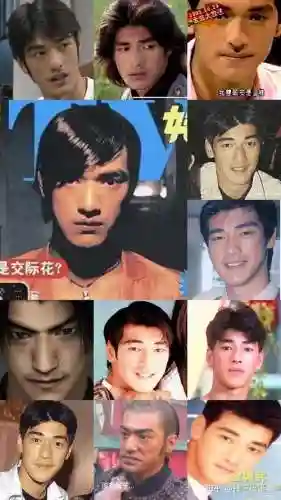 金城成阵容插图1