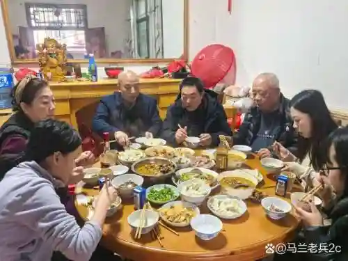 乡村拜年阵容插图1