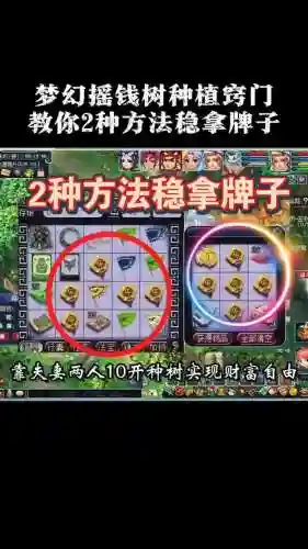 梦幻摇钱树苗最新攻略2017插图1