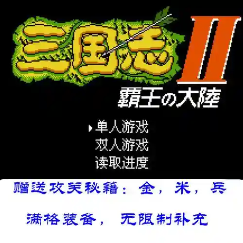 三国志霸王的大陆2武器插图1