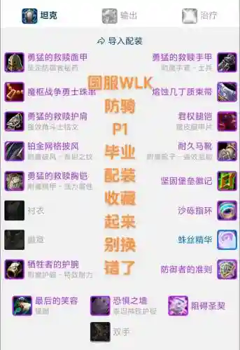 圣骑士卢克奶装备_1插图1