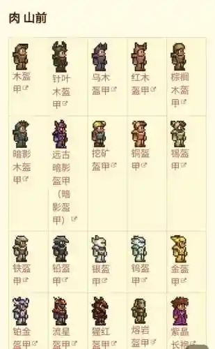 泰拉瑞亚增加仆从装备大全_1插图