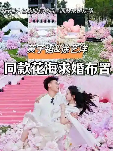 明星求婚阵容搭配插图1
