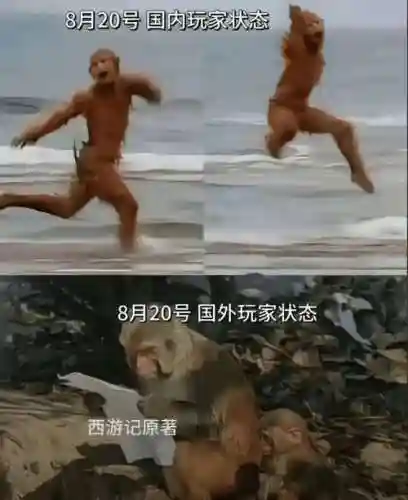 猴子二技能怎么跳打_1插图1