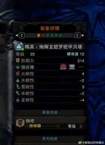 烂辉龙毕业武器配装插图