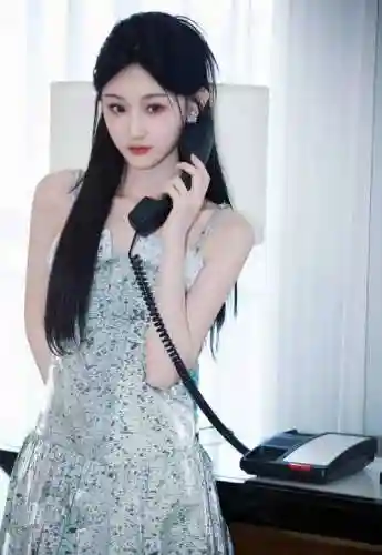 阵容雪凝插图1