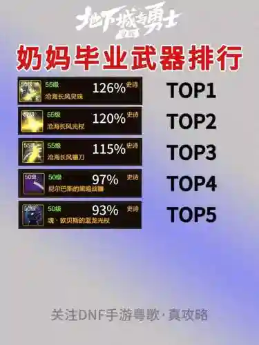圣骑士卢克奶装备_1插图