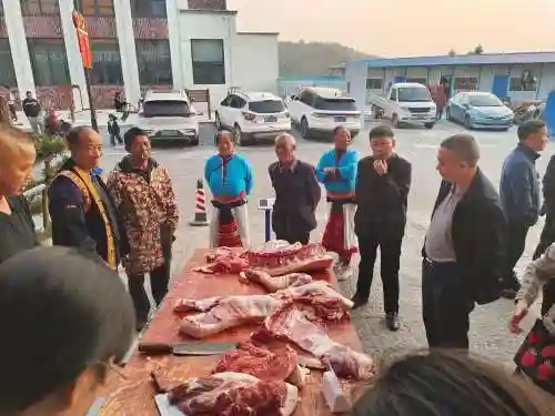 杀猪的阵容插图1