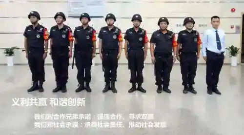 保安阵容大全插图