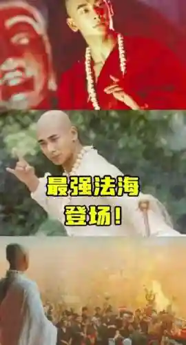 无情法海阵容插图