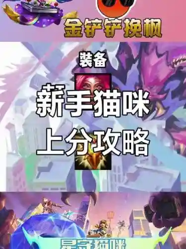 守护猫咪阵容搭配插图